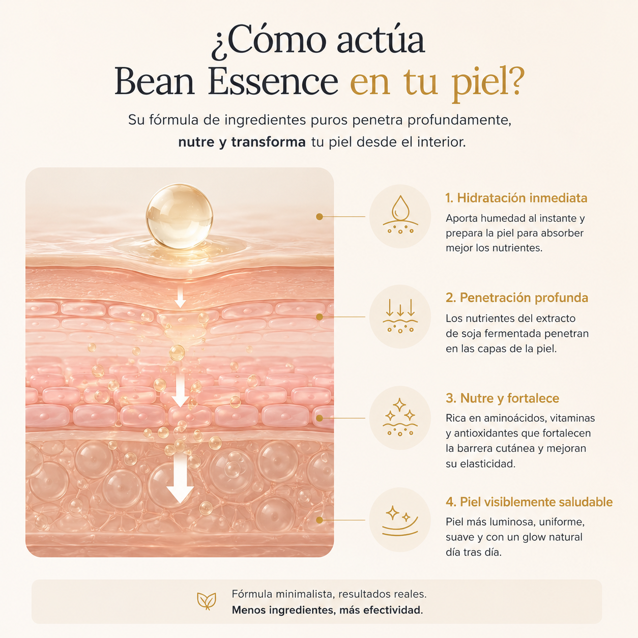 Mixsoon™️ | Bean Essence Coreana para piel suave, luminosa e hidratada