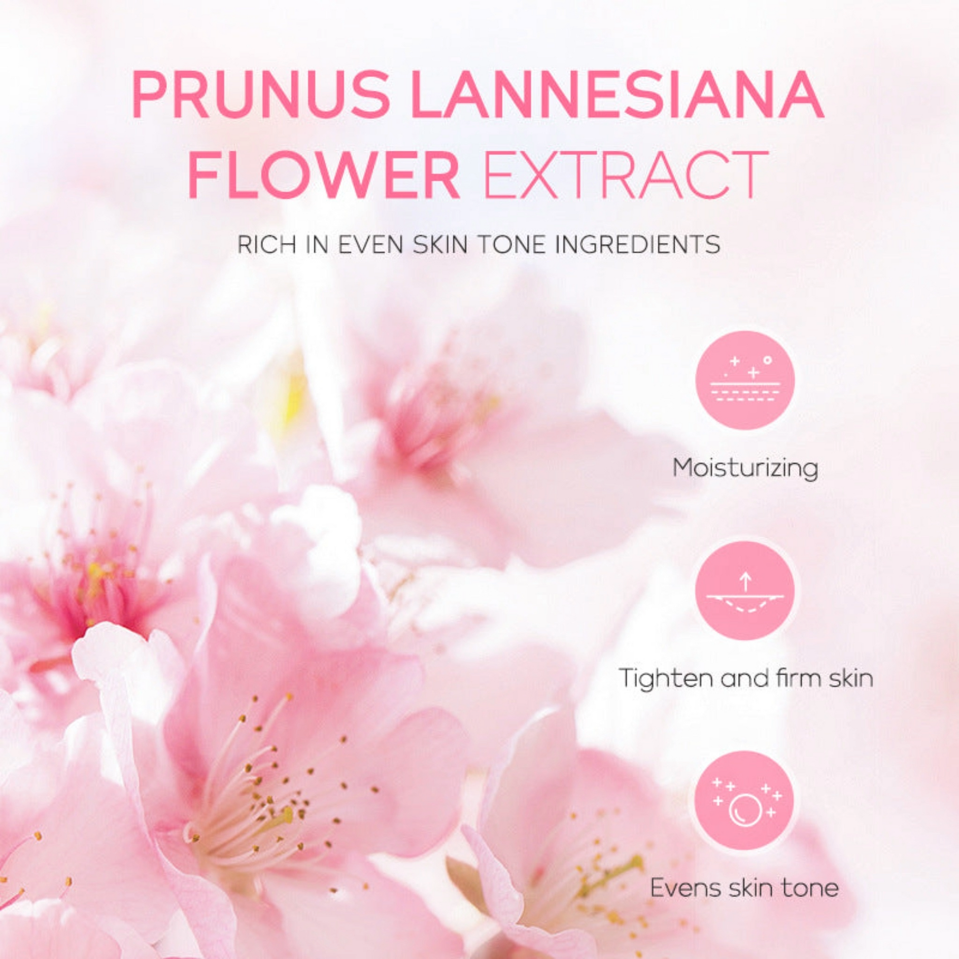 Prunes lansesana flower extract: a natural remedy derived from the prunes lansesana flower.